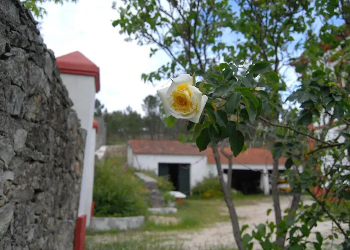 Prédio Na Amêndoa * Amendoa